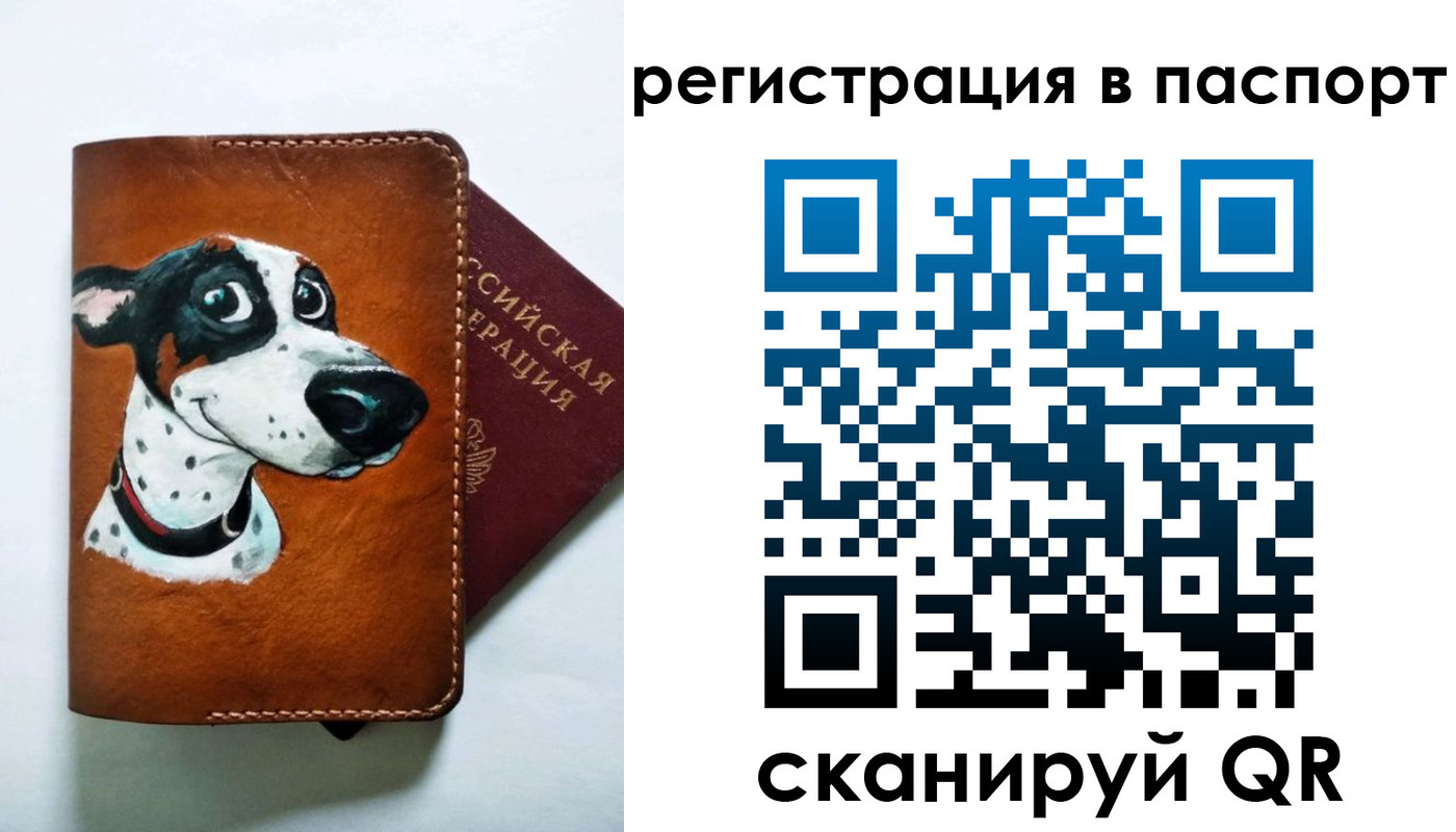 прописка штамп в Бавлах